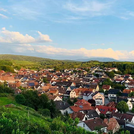 아파트 Emma - Wlan, Kueche, Tv, Bad, Ca 15 Min Zum Europa Park *